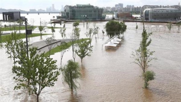 Vista general de un parque inundado.