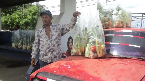 Compuesta de tomate, apio, repollo, papa y zanahoria.