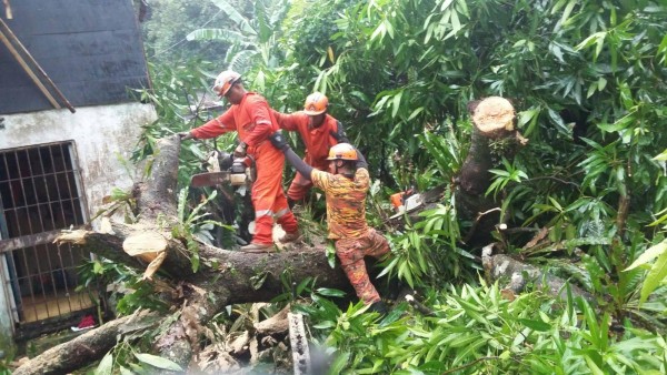 Varias casas afectadas por la fuerte lluvia registrada este viernes