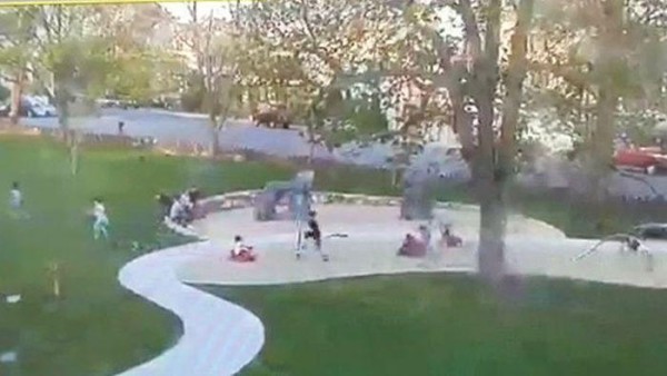 Niños son golpeados por árbol en el parque.