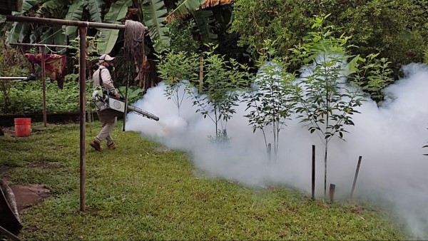 Puntualizó que es importante que la población tome conciencia y elimine los criaderos del mosquito del dengue sobre todo en esta temporada en la cual tiende a reproducirse con más rapidez..
