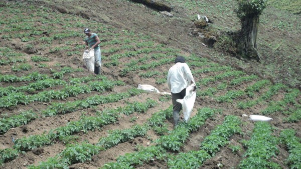El sector agropecuario busca desarrollar nuevas técnicas con la mano de la tecnología.