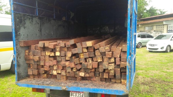 Incautan cargamento de madera ilegal proveniente de una reserva forestal