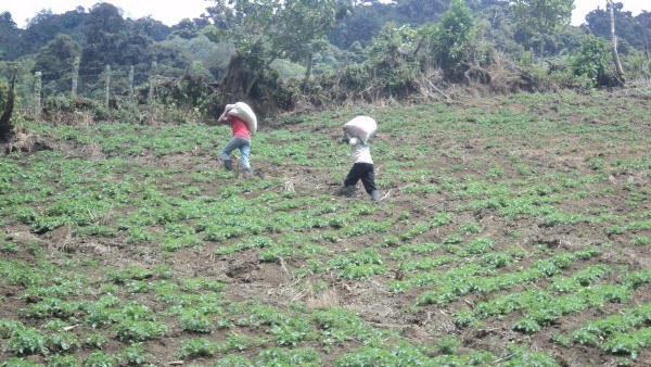 Plan de mejoramiento