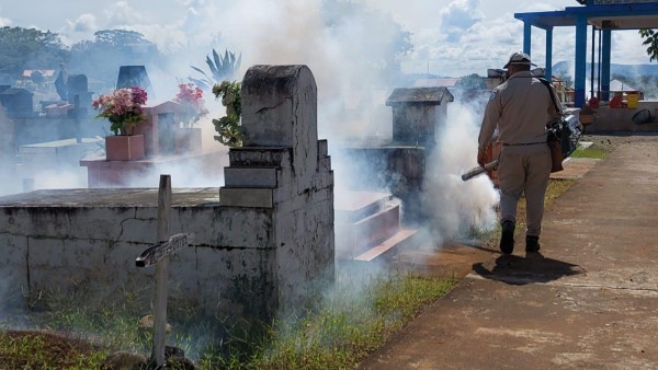 Se elevan los casos de dengue en Chiriquí