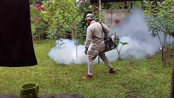 Se elevan los casos de dengue en Chiriquí