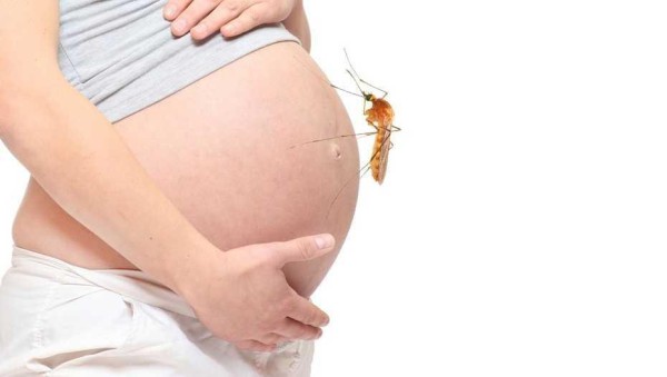 El virus del Zika podría causar abortos incluso en mujeres sin síntoma
