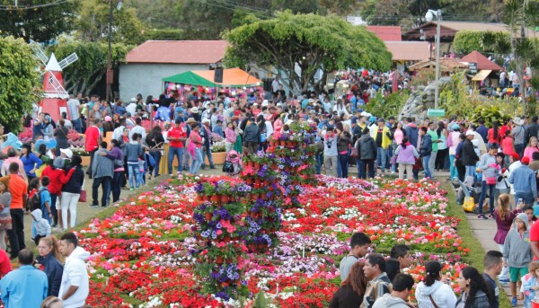 Feria de Boquete rompe récord de asistencia con 157 mil 480 visitantes