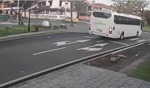 Muere enfermera en accidente de tránsito en Colón