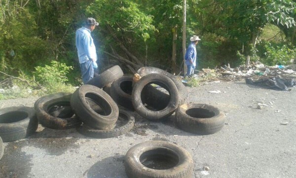 Recogen 12 toneladas de basura en David.