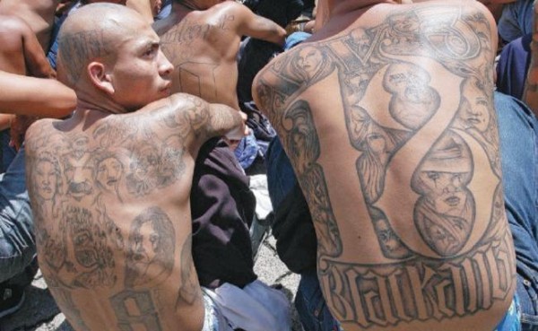 Pandilleros de la Mara Salvatrucha (MS-13).