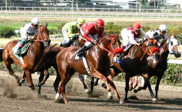 La cartilla hípica se inicia a las 5:45 p. m. y debe culminar a las 9:00