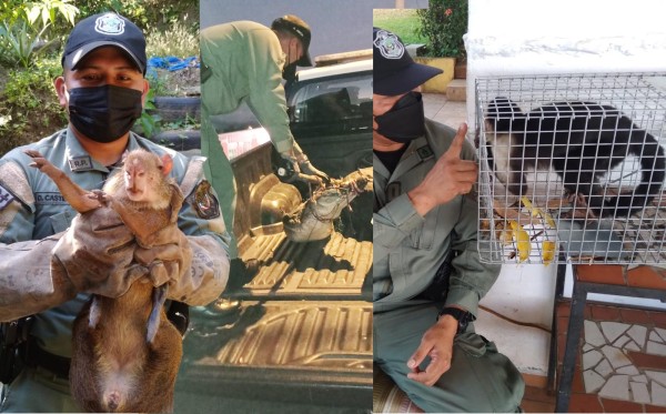 Imágenes de algunos rescates entre enero y febrero de 2022.