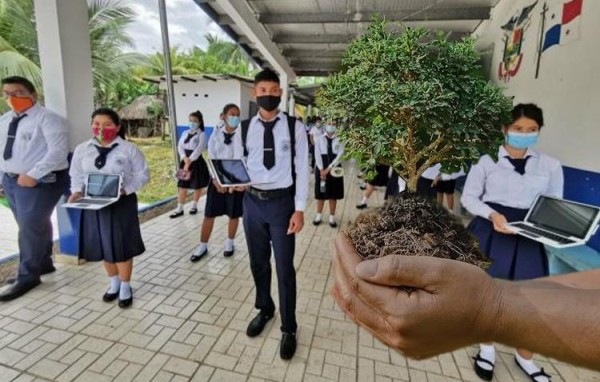 Sembrar árboles, nuevo requisito para graduarse de bachillerato en Panamá.