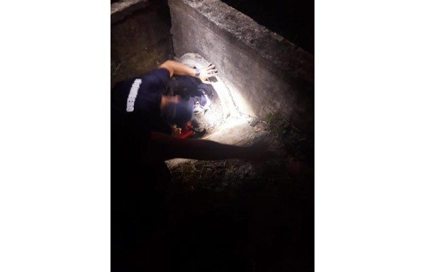 Rescatan a unos cachorros atrapados en una alcantarilla