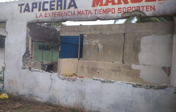 Alimañas, basura y criadero de mosquitos proliferan.