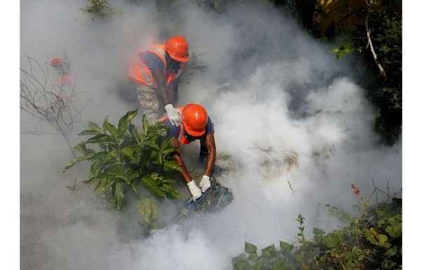 Miembros de la Fuerza Aérea Dominicana fumigan durante una jornada de prevención.