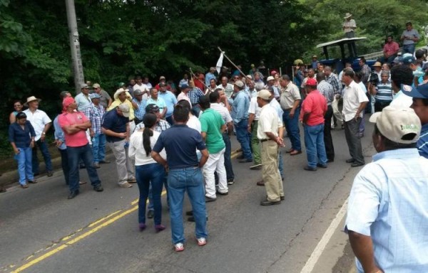 Se espera la participación de varios productores .