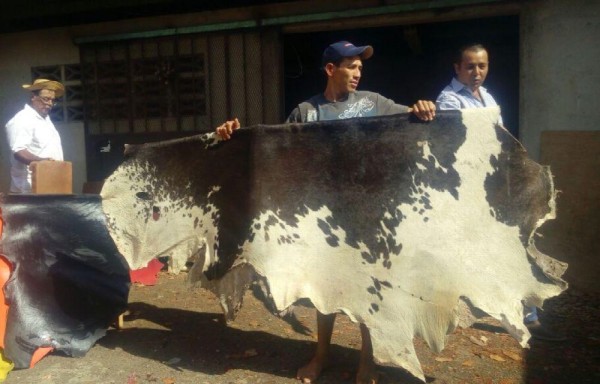 Cuero se compra en los mataderos.