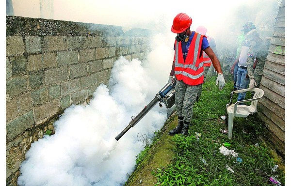 El Gobierno mantiene una jornada extensa de fumigación.