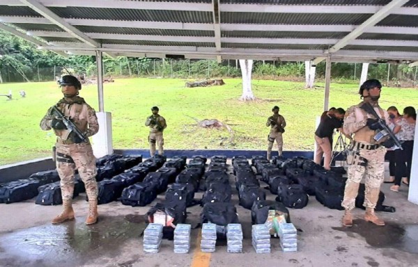 Parte de la droga decomisada ayer