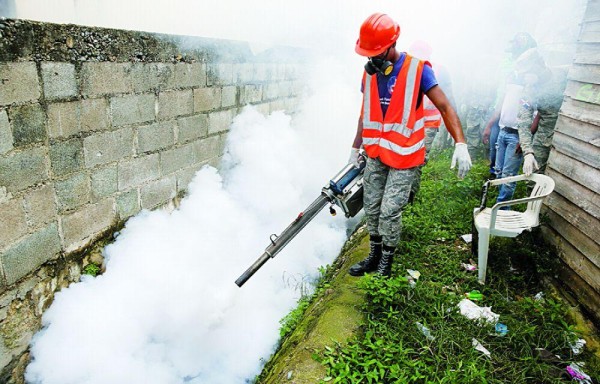 Salud fumiga las áreas con mayor cantidad de criaderos.