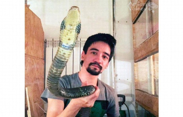 Se suicidó en Facebook por obsesión