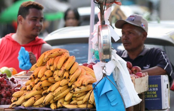 El guineo se ha convertido en una de las frutas de mayor demanda en el país.