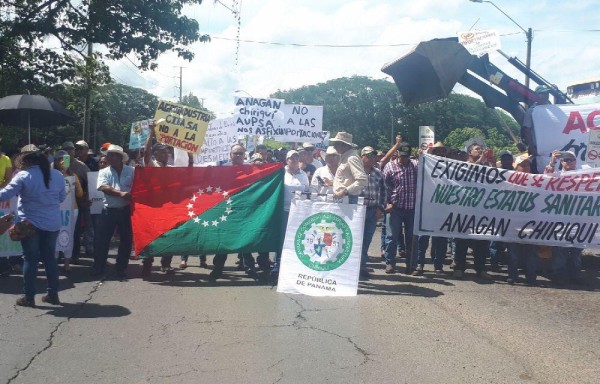 En Chiriquí los productores dijeron presente.
