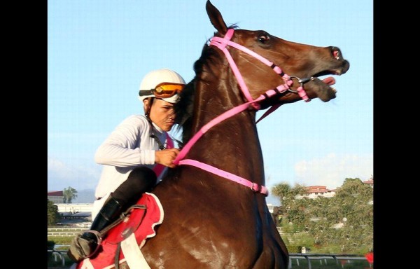 José Morelos ganó 3 carreras.