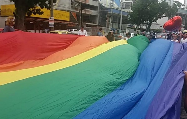 Este año el lema de la caminata fue “Enciende tu Orgullo / Light your Pride”..