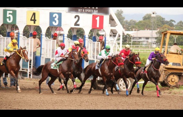 Hipódromo Presidente Remón, ‘Cuna de los mejores Jinetes del Mundo' .