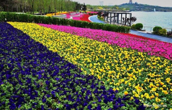 Bellos jardines engalanan la ciudad de Tangshan