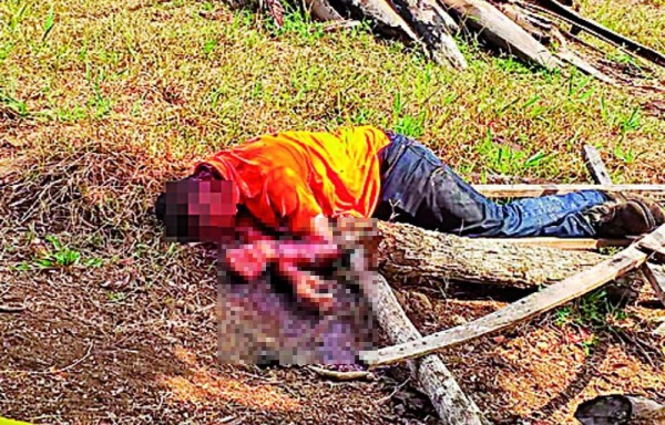 Una de las víctimas murió junto a su caballo