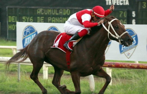 ‘Chantik' con Luis Arango busca ganar la triple corona nacional de potrancas.