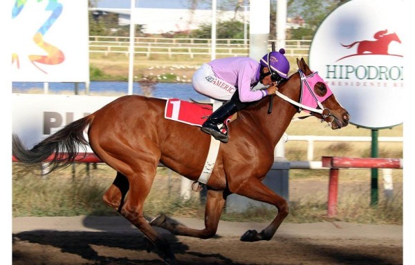 ‘Ruth Majestyc' busca su segunda victoria de 2016.