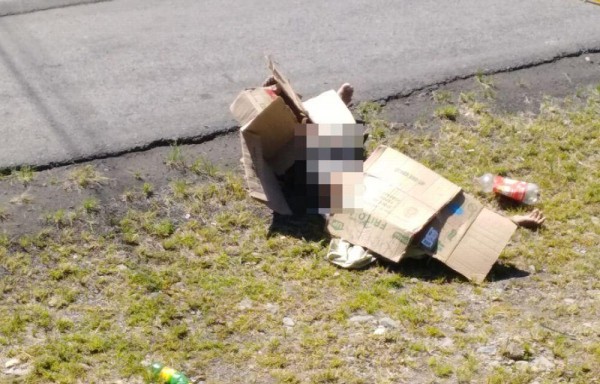 Se desconocen las generalidades del peatón fallecido.