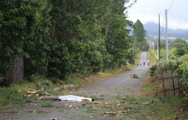 Este hecho ocurrió la tarde de ayer, cuando Marcelino se dirigía hacia su casa en Cerro Gavilán.