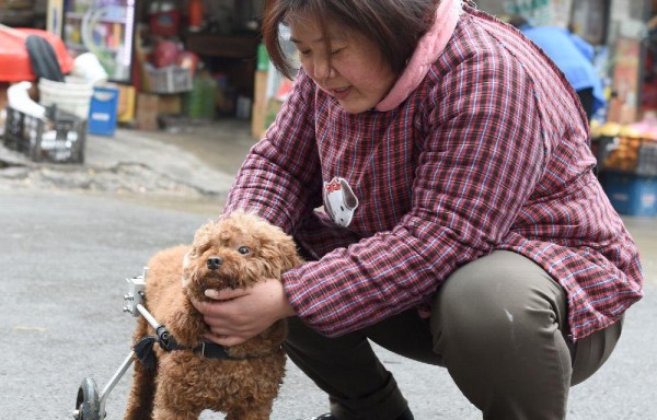 Aprende a caminar en cuatro patas