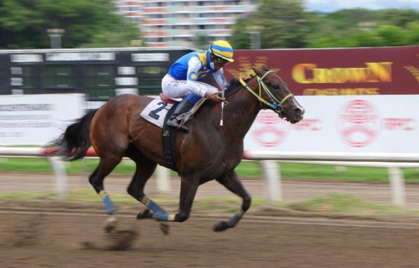 Juan Pedroza en la monta de ‘Atrevido Cry'.