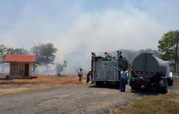 Los incendios de masa vegetal son difíciles de controlar y requiere técnica