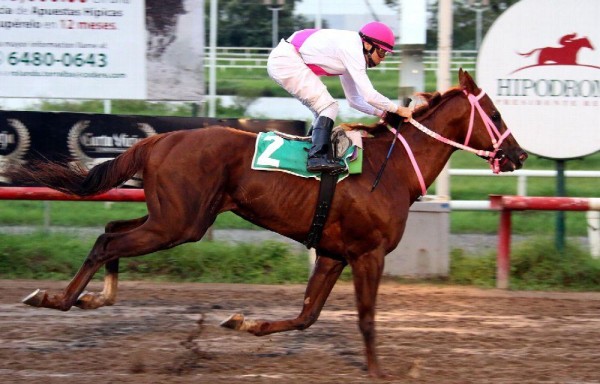 ‘Rechulo' buscará sorprender en la Copa Velocidad del Caribe.