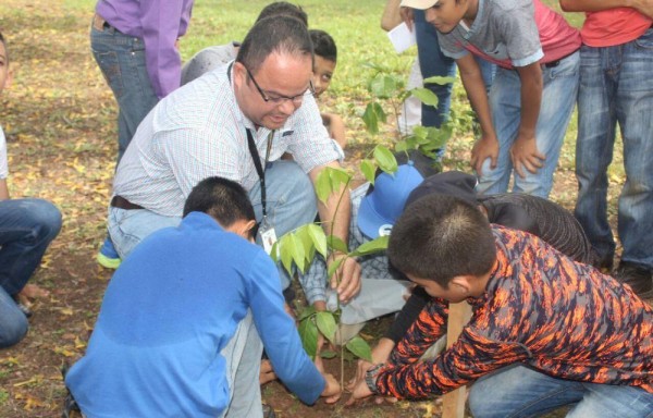 Jornada de reforestación