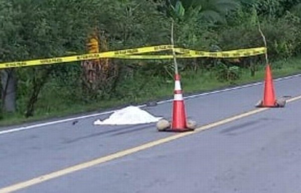 Andaban de parranda y un camión los arrolló