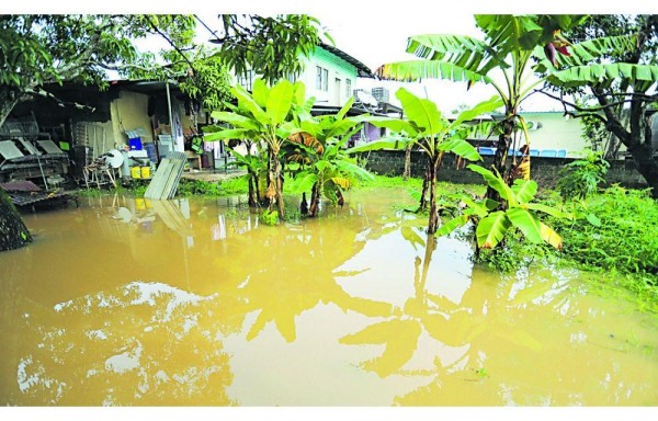 Residentes no quieren más construcciones porque aseguran que provocan inundaciones.