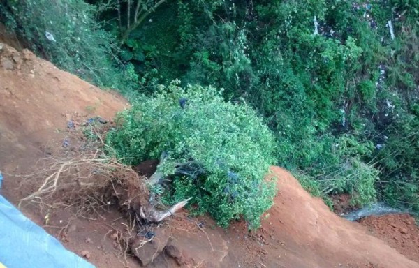 Alud sepulta a cinco personas en Colombia