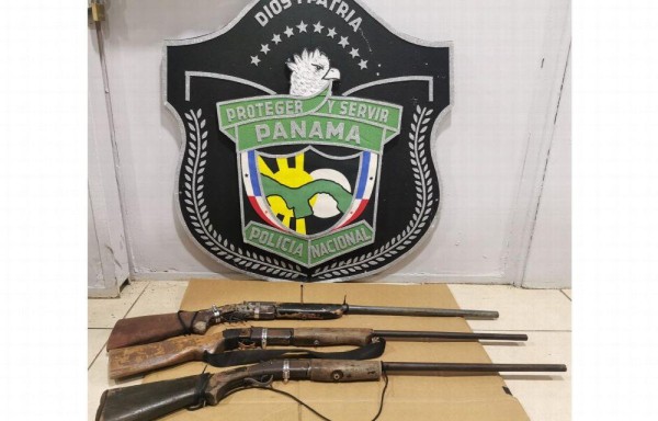 Tala de cocobolo está prohibida en Panamá.