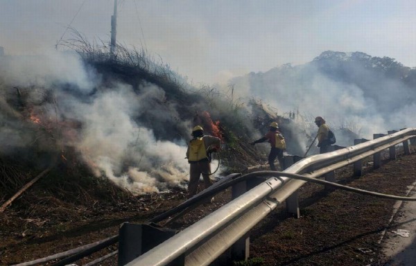 Se han reportado 2,890 llamadas por incendios de masa vegetal