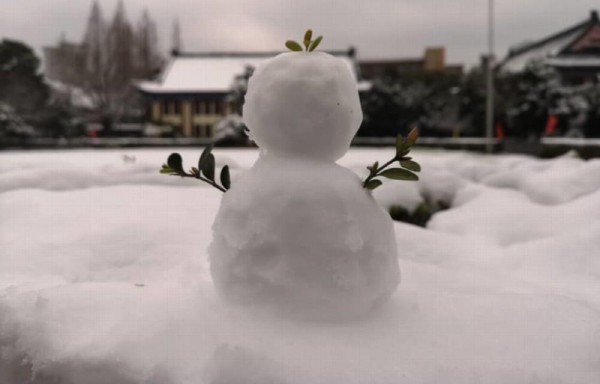 Anuncios de abuelos buscándoles una posible pareja (cita a ciegas) a sus nietos en Nanjing.