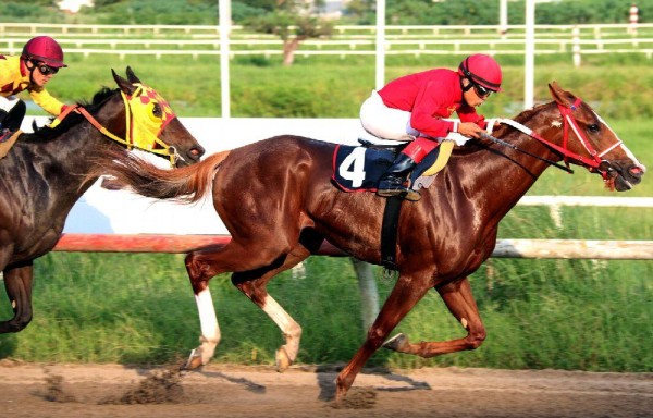 ‘Steps To Heaven' ganó dos de la triple gema juvenil de machos.